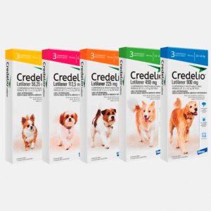credelio packs todos x