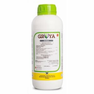 gruya